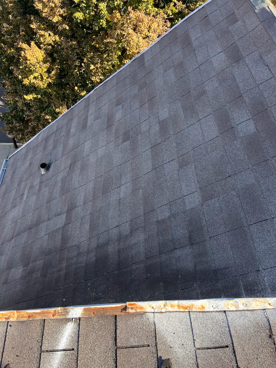 Shingle roof project