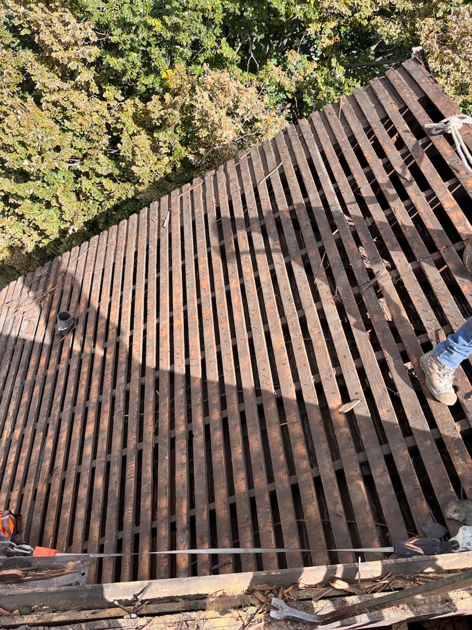 Shingle roof project