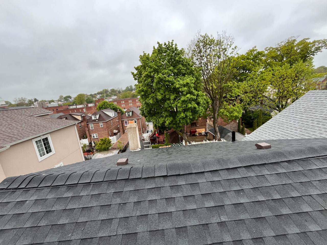 Shingle roof project