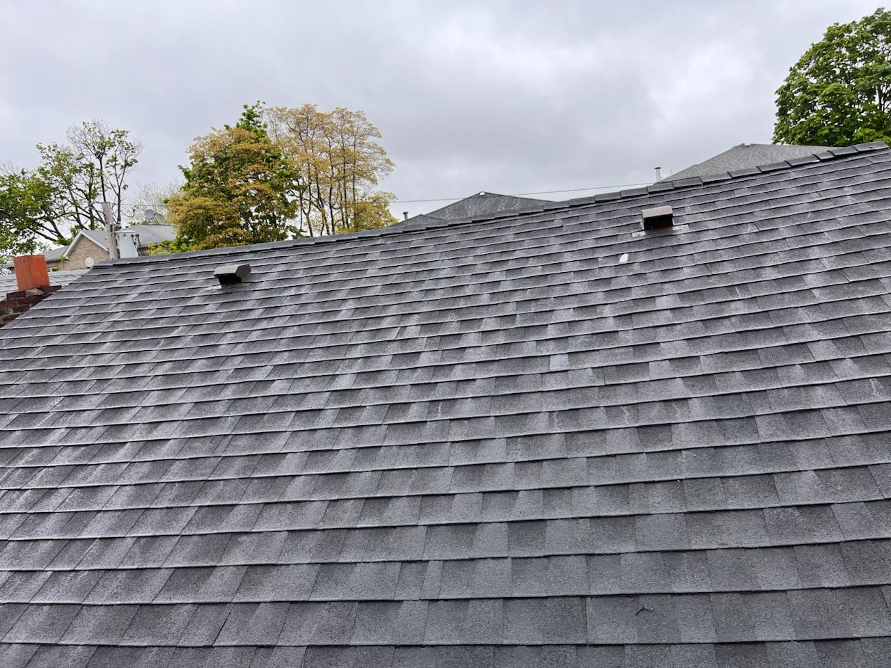 Shingle roof project