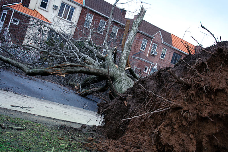 Storm damage repair